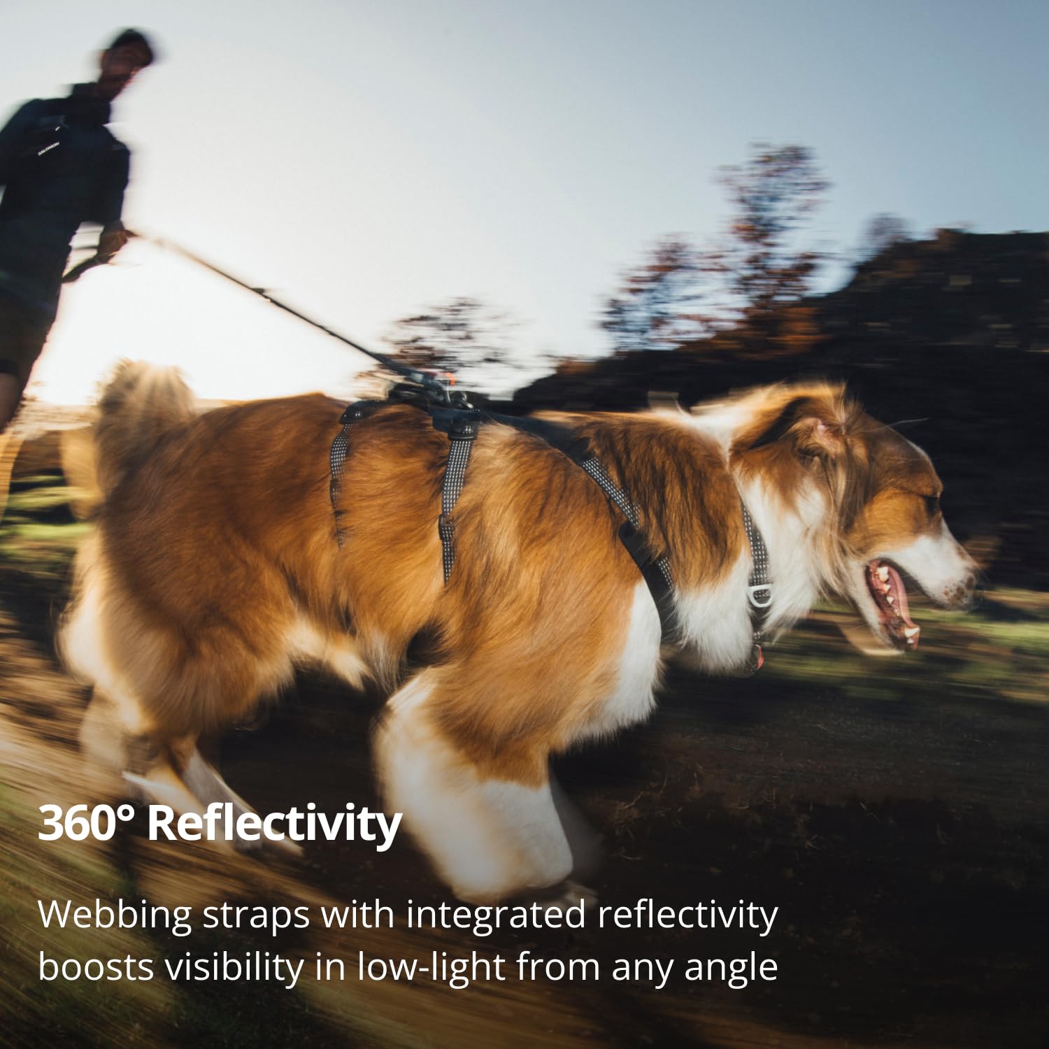 Amazon | RUFFWEAR(ラフウェア) リッジラインハーネス オブシディアン